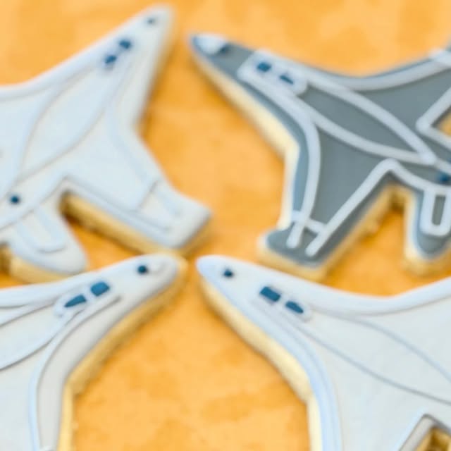 Fighter jet cookies in white and gray for Hunter, June 22, 2026.